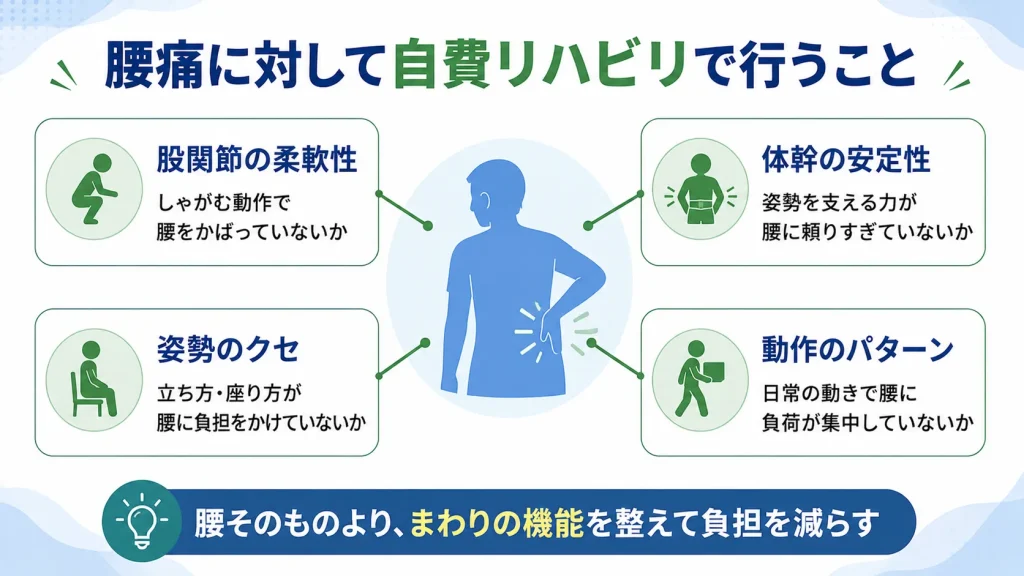 腰痛に対して自費リハビリで行うことの図解