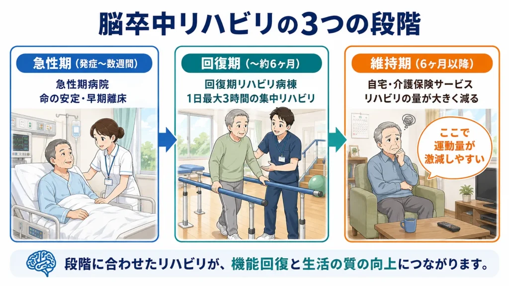 脳卒中リハビリの3つの段階。急性期・回復期・維持期の流れと、維持期に運動量が激減しやすいことを解説した図解
